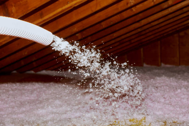 Insulation Inspection Services in Simpsonville, SC
