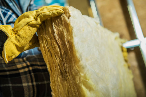 Best Professional Insulation Contractor  in Simpsonville, SC