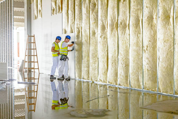 Best Local Insulation Services  in Simpsonville, SC